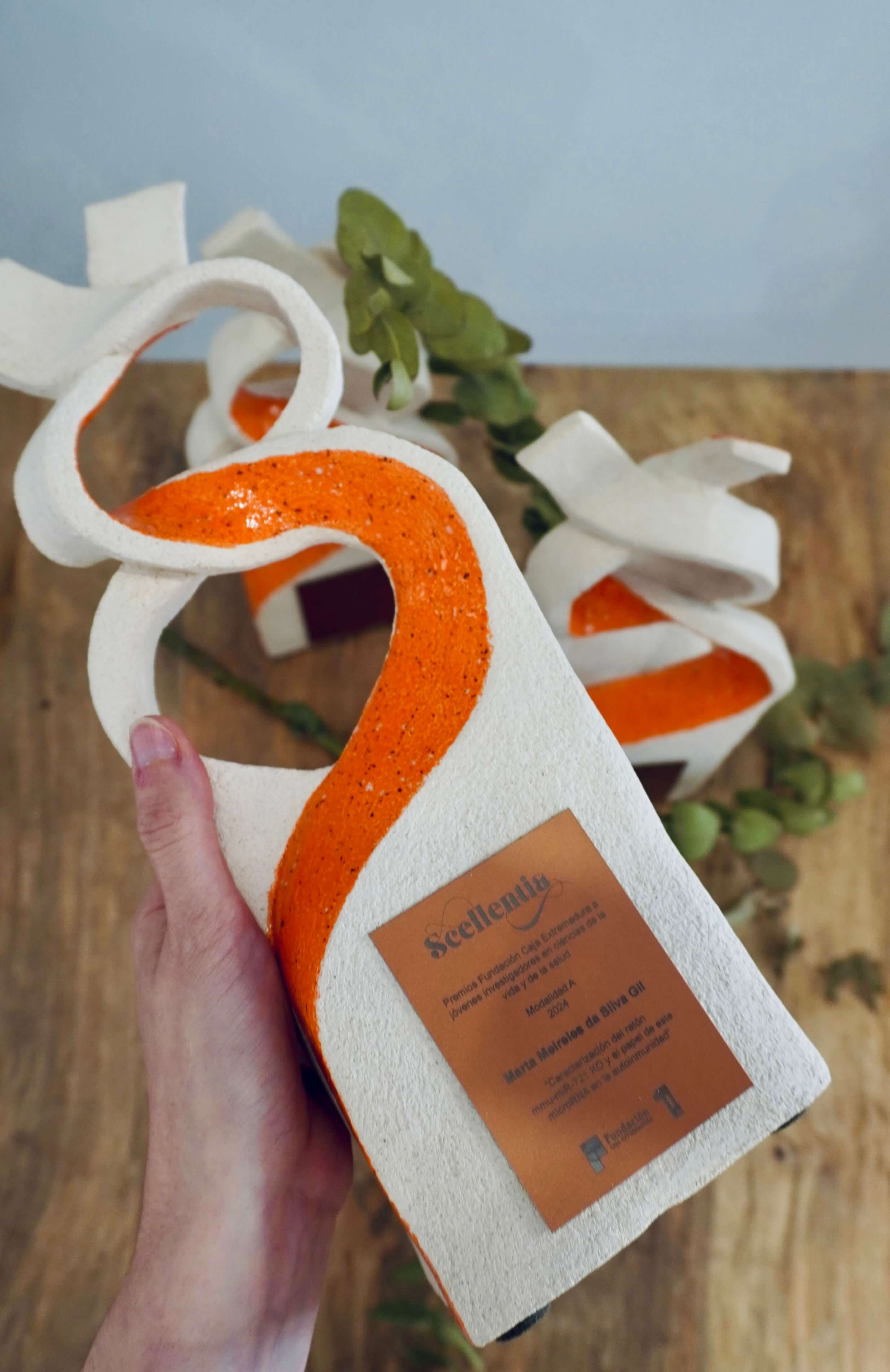 Te cuento cómo diseñé los Premios Scellentia