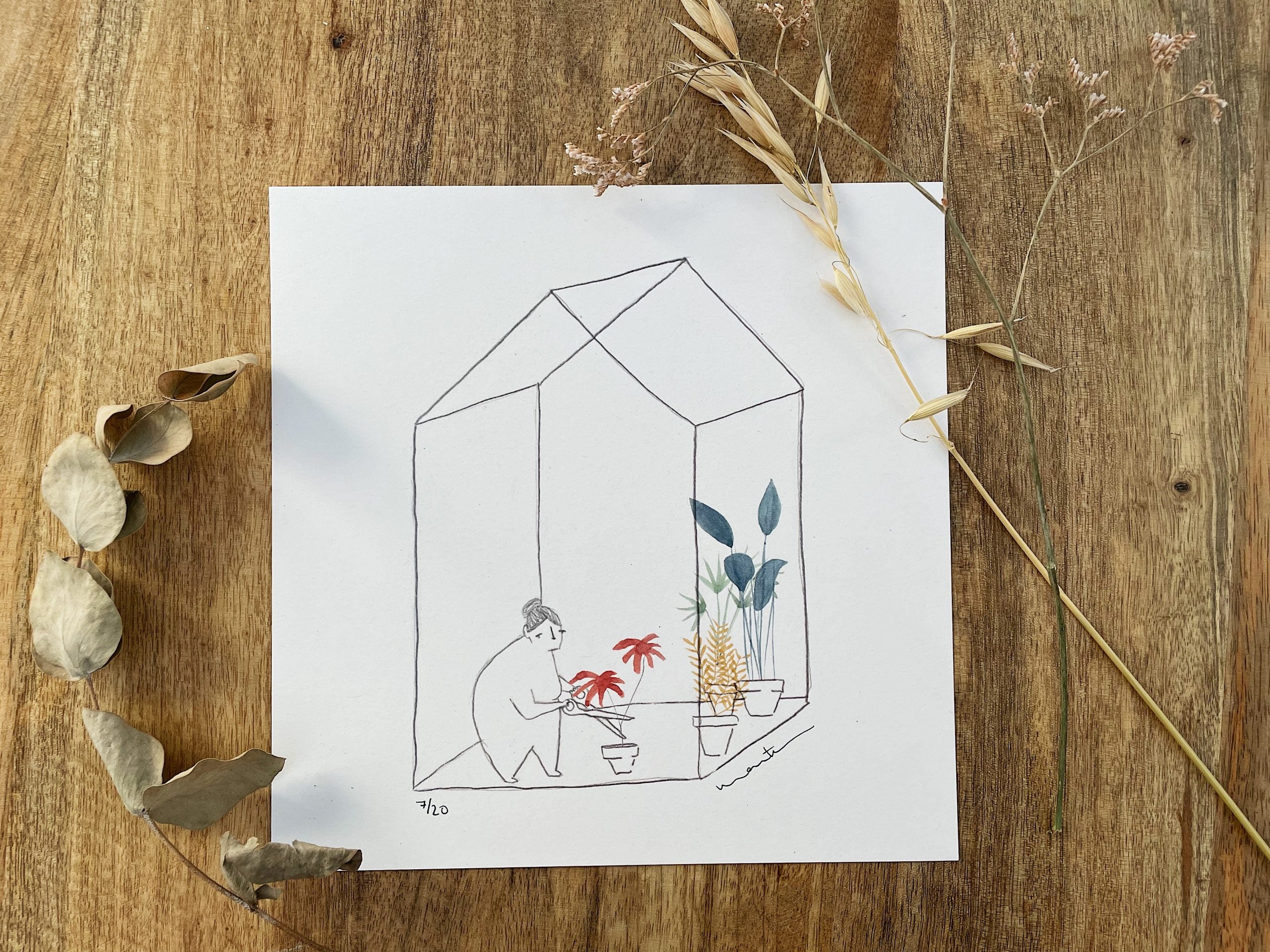 OLIVIA EN EL INVERNADERO - Varios tamaños