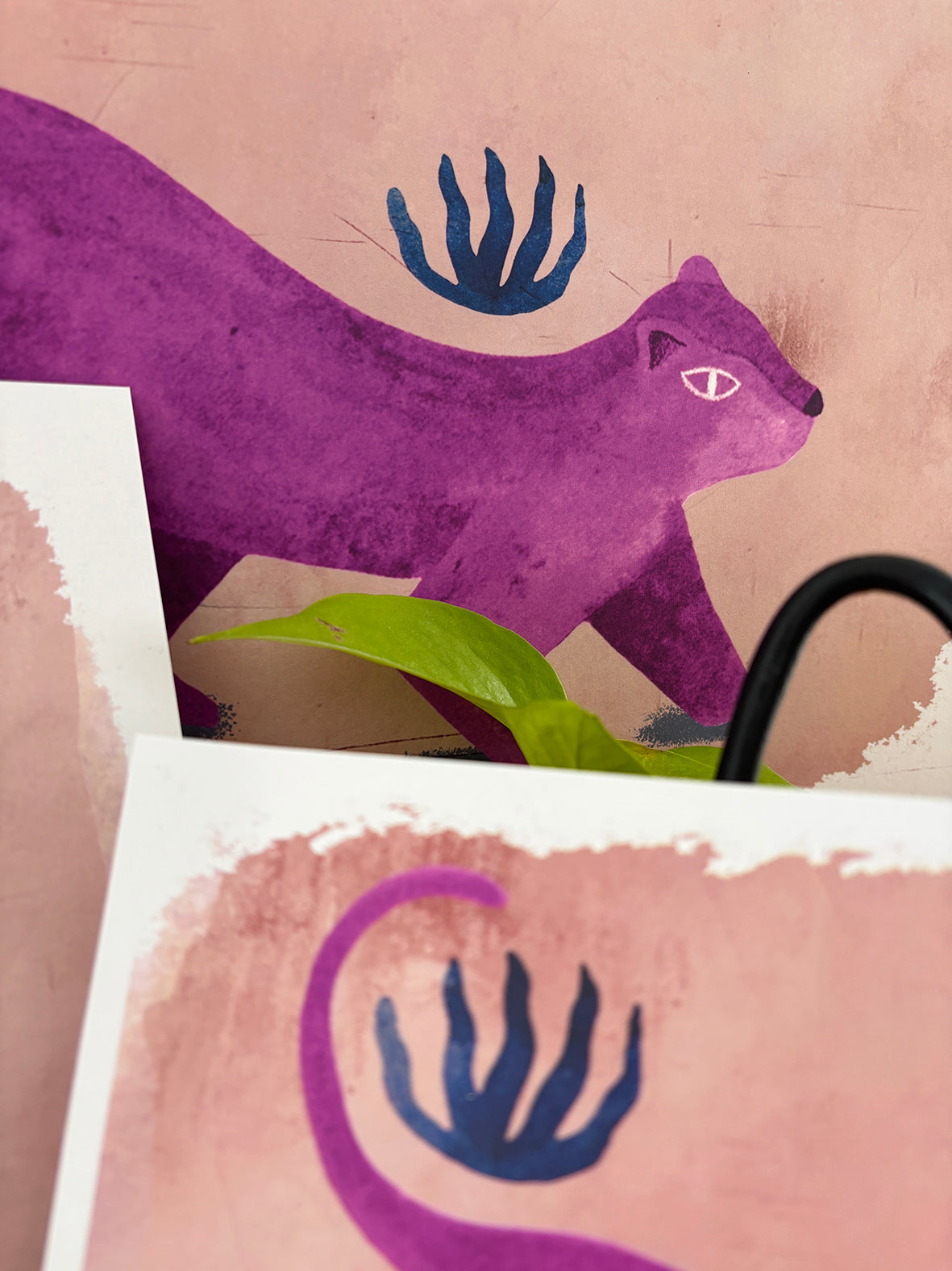 Lámina Puma | Colección TUKUY