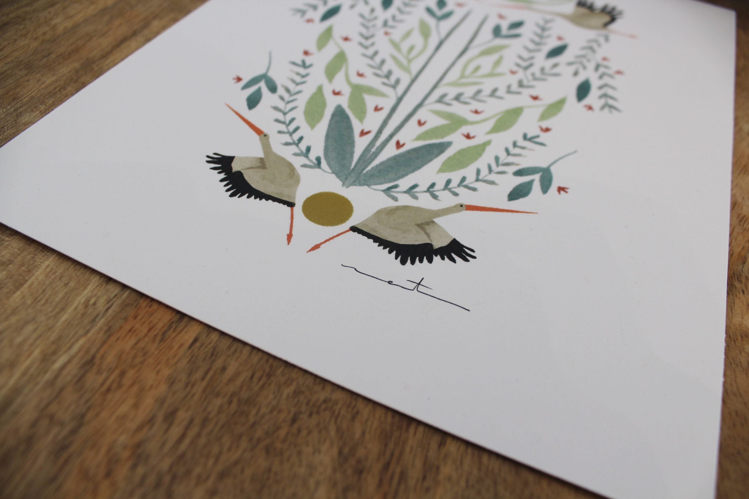 Cigüeñas simétricas - Lámina | Colección ARREI