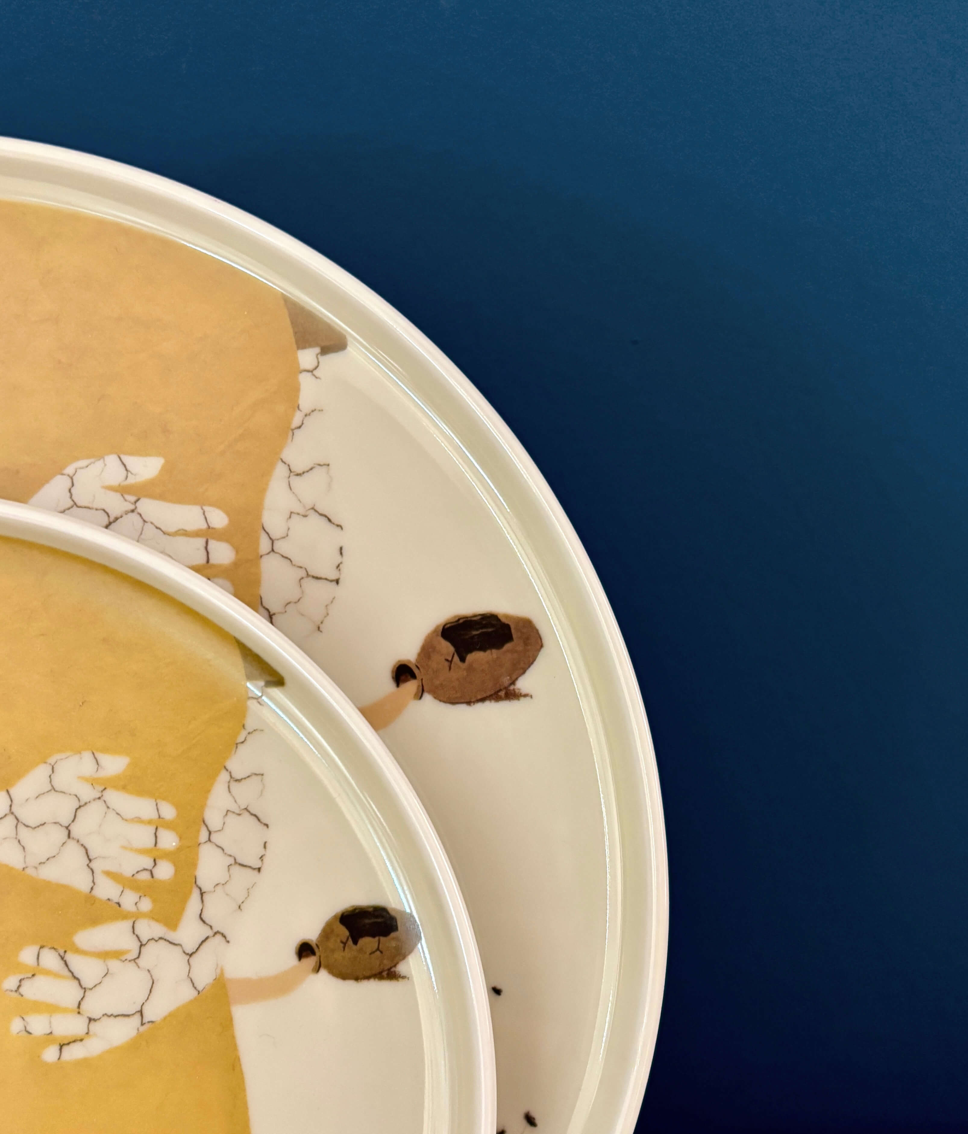 Plato - Yerma | Cápsula LORCA